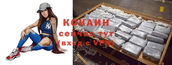 спайс Анива