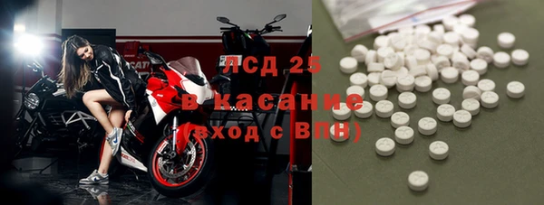 трава Анжеро-Судженск