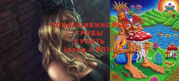 соль ск Апатиты