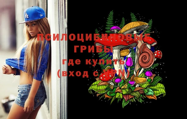 спайс Анива