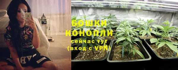 соль ск Апатиты